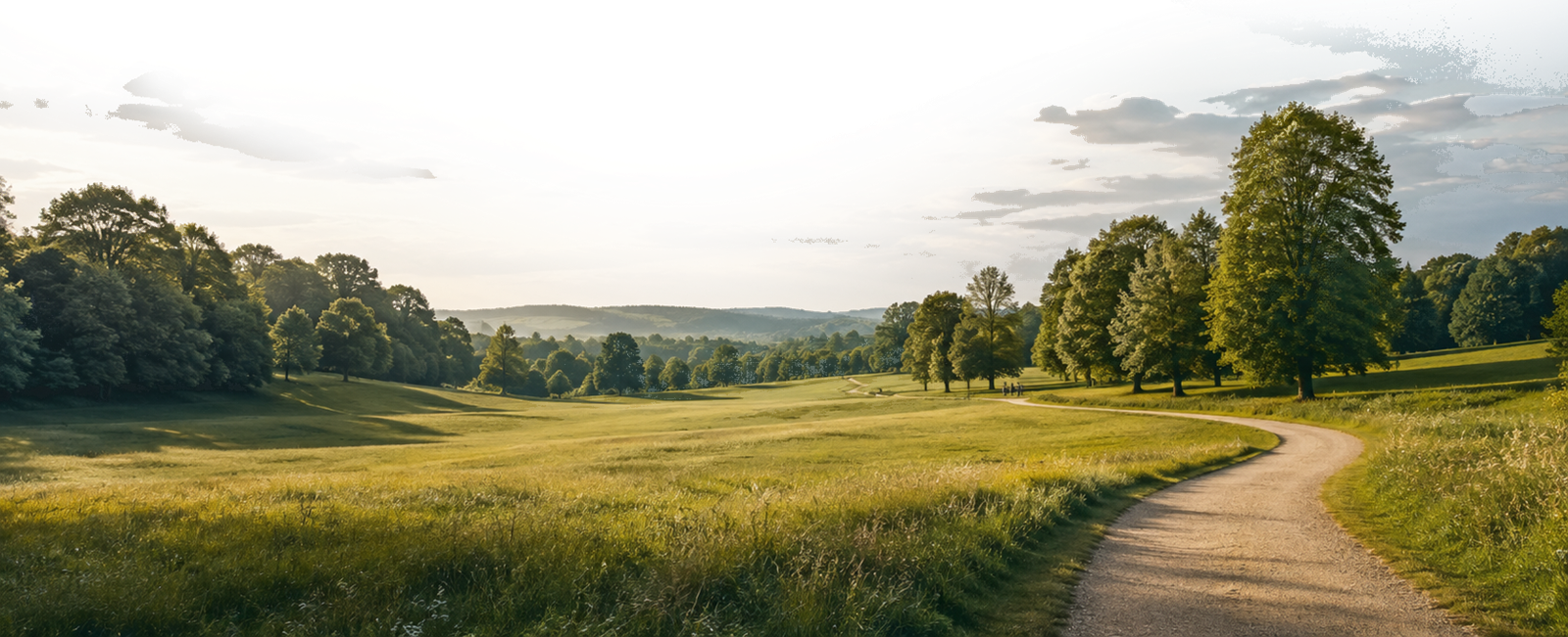 North Hill landscape